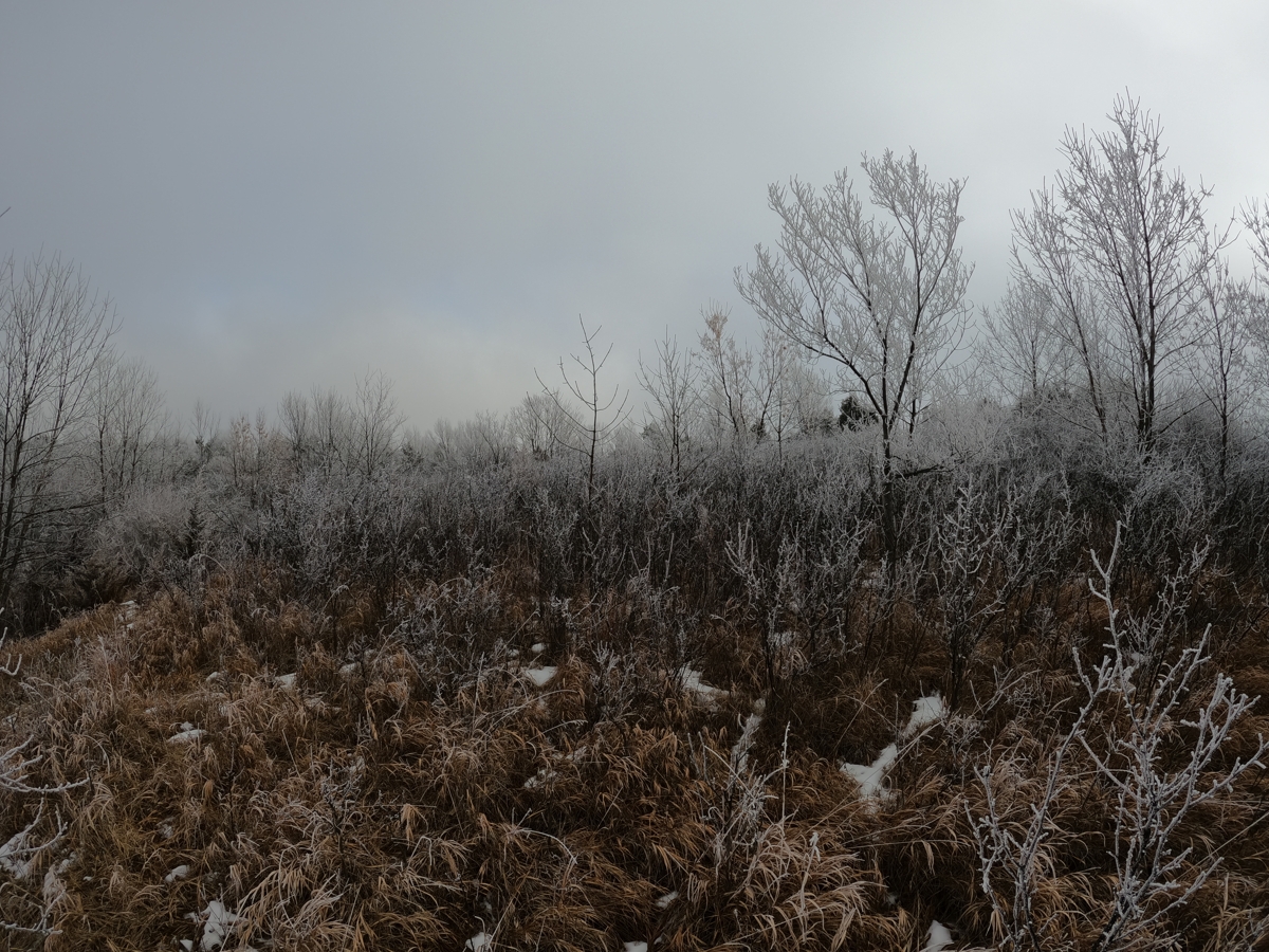 Frosty Bank